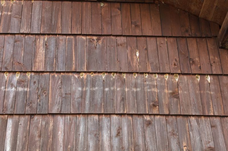 Woodpecker Holes Repair