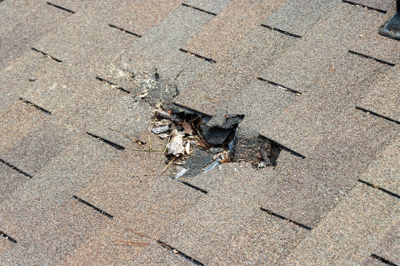 Roof Shingles Replacement in Boston, MA