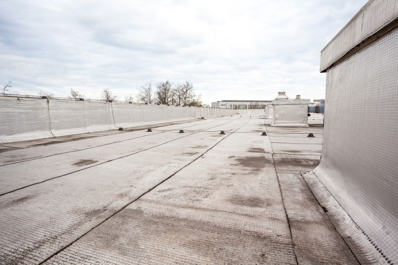 Tpo Roof Construction in Naperville, IL